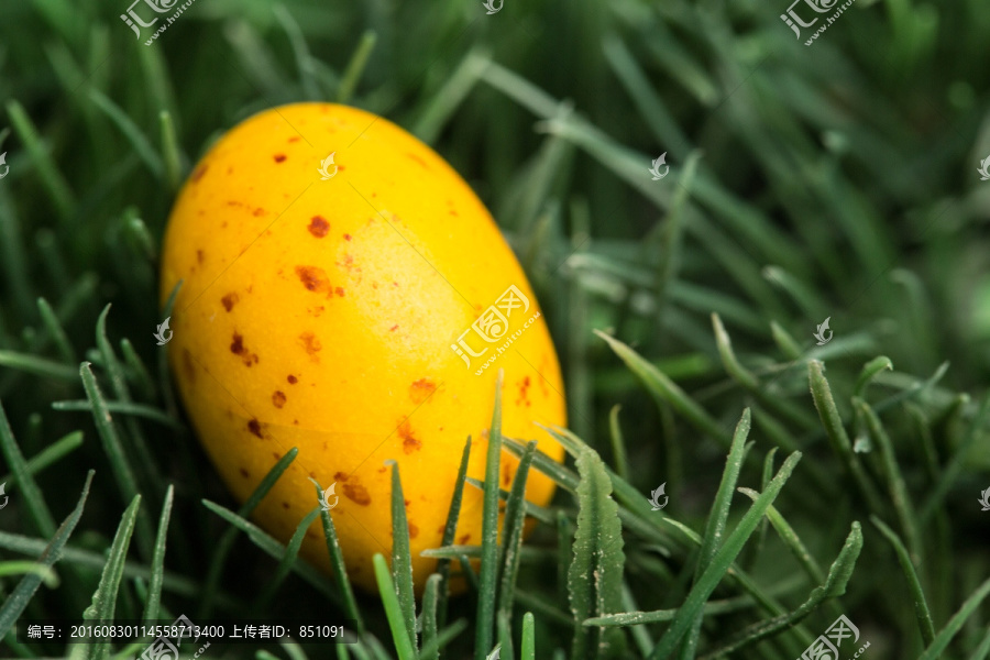 被放在草地上的复活节彩蛋