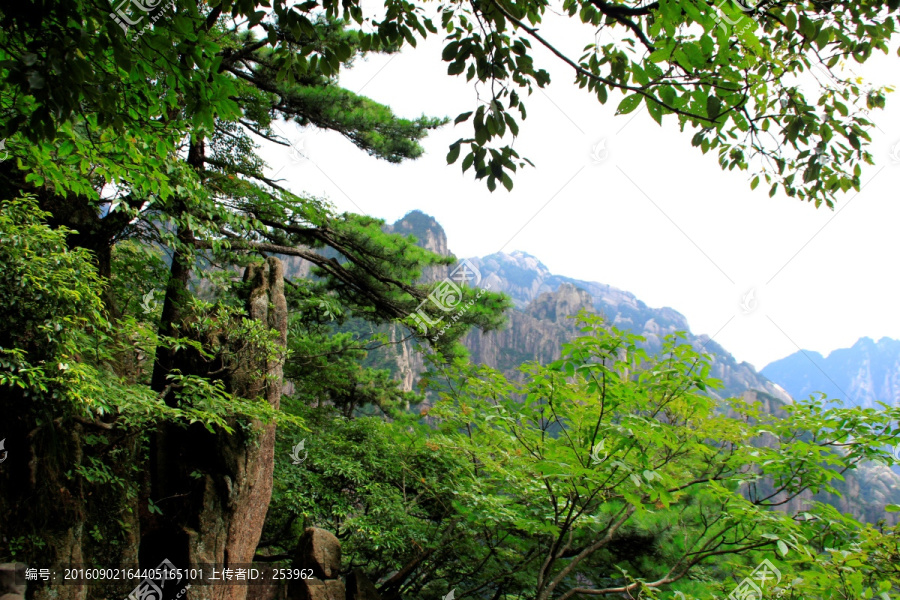 黄山