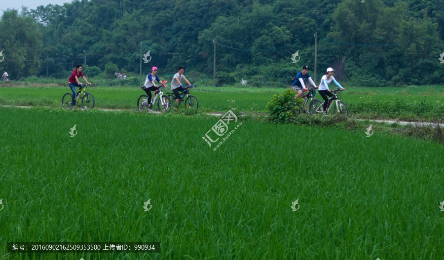 自行车,户外骑行