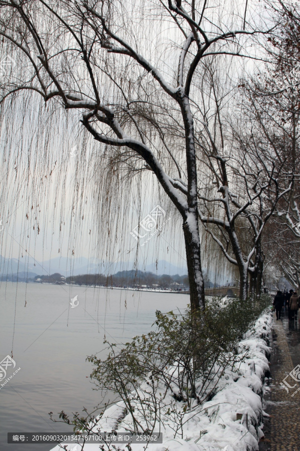 西湖雪