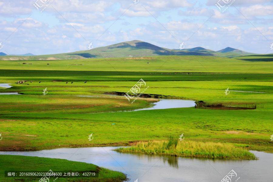 夏季草原湿地河流