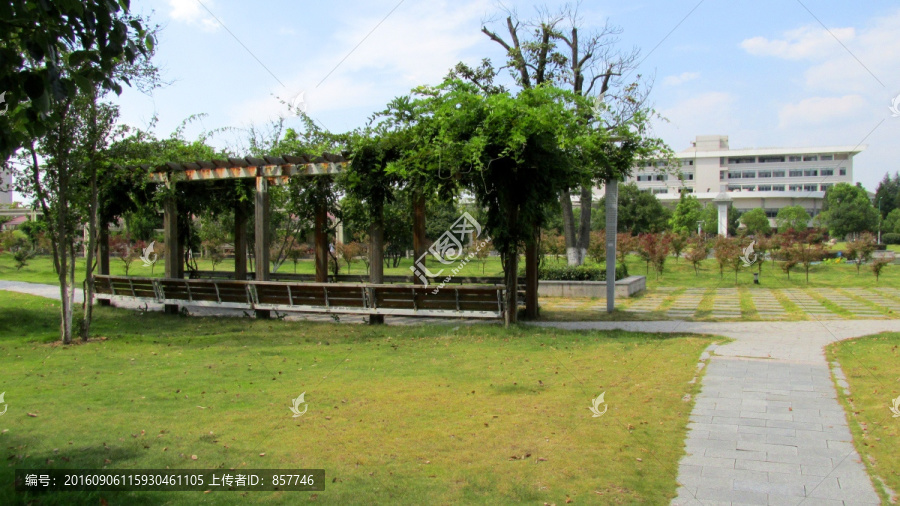 草地