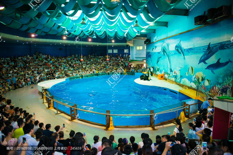 南京海底世界,海豚表演馆