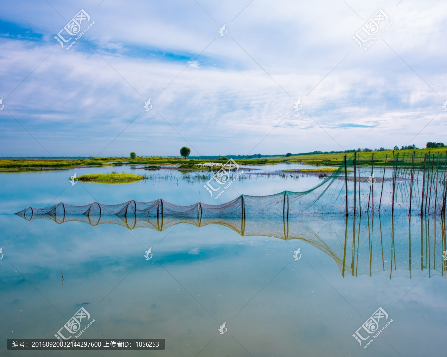 湿地