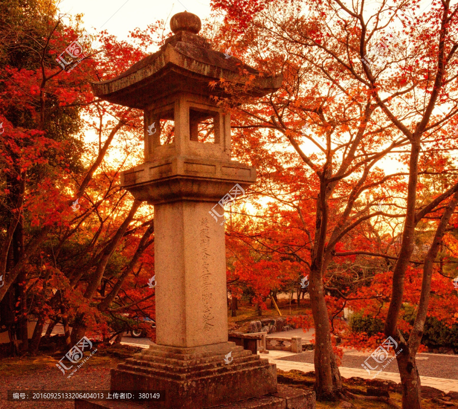 京都,岚山,天龙寺