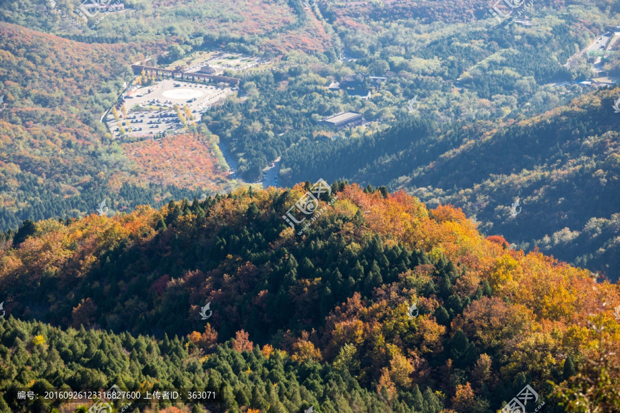 北京蟒山森林公园秋景