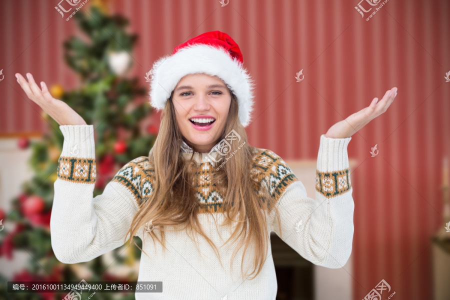 微笑的女人袋子圣诞帽