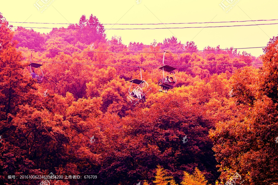 秋天红叶缆车