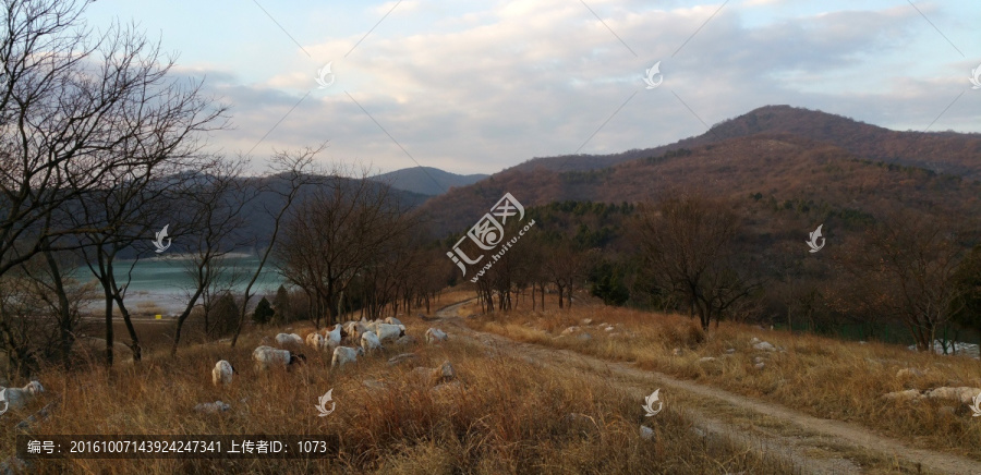 琅琊山景色之丰山晨曲