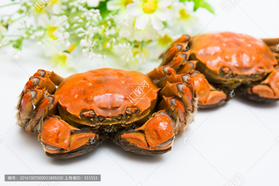 大闸蟹