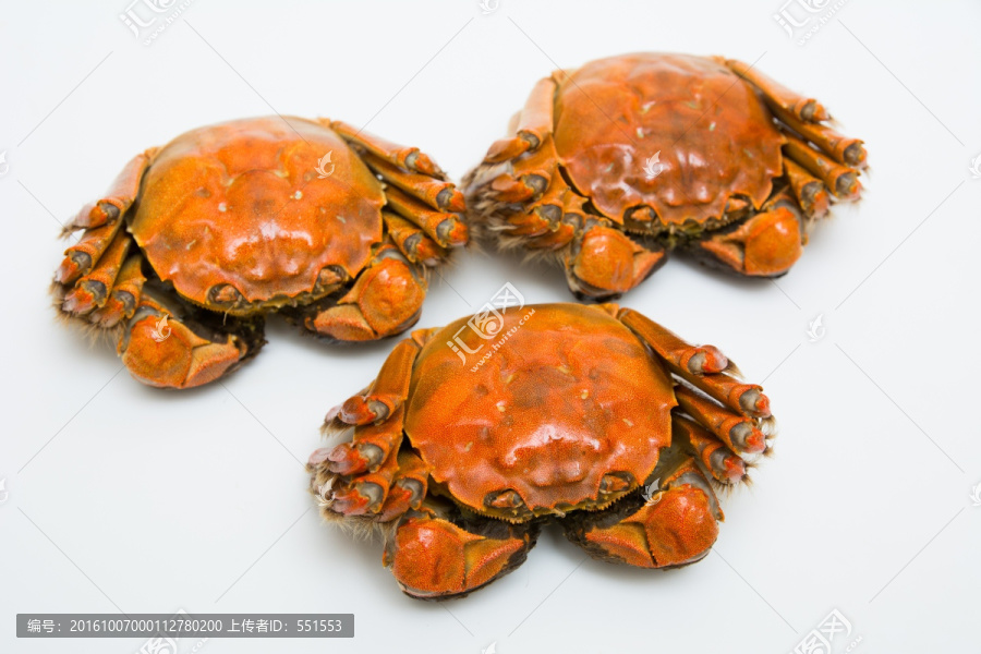 大闸蟹