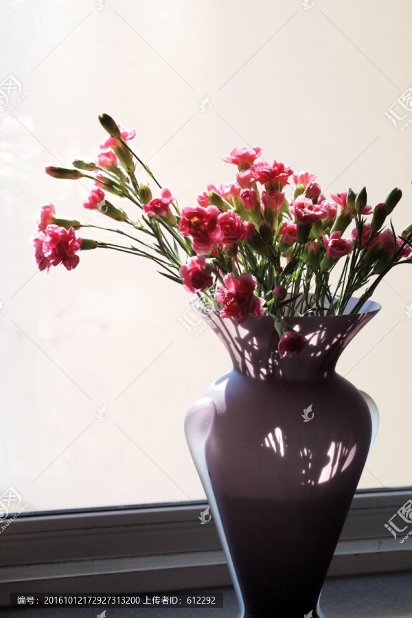 窗前,插花,静物