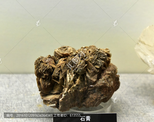 石膏,花瓣状集合体