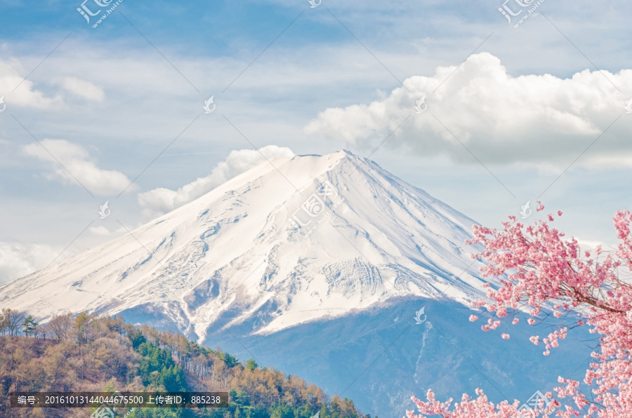 富士山