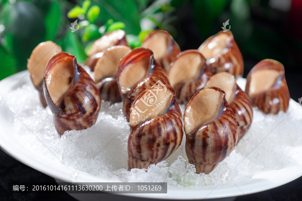 法式蜗牛