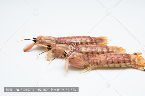 虾姑