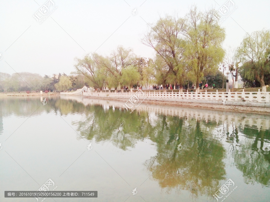 公园湖边风景