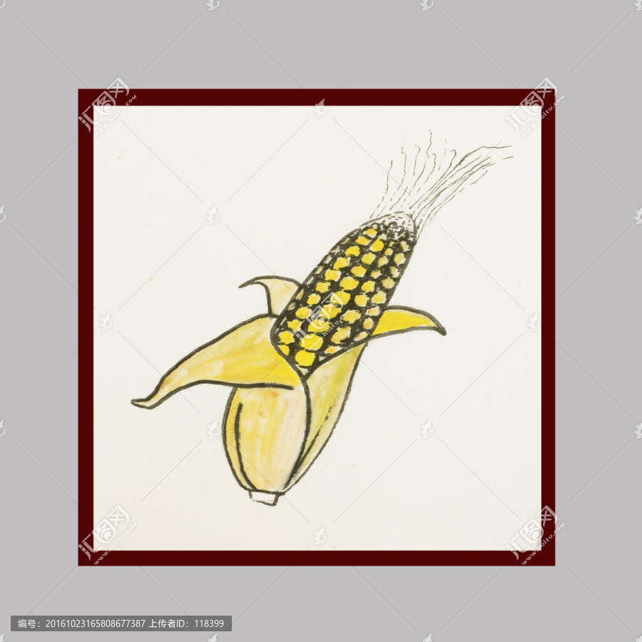 简笔画玉米