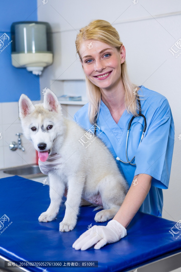 微笑着摸着小狗的兽医