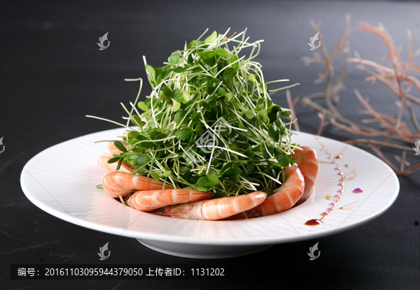 鲜虾香椿苗