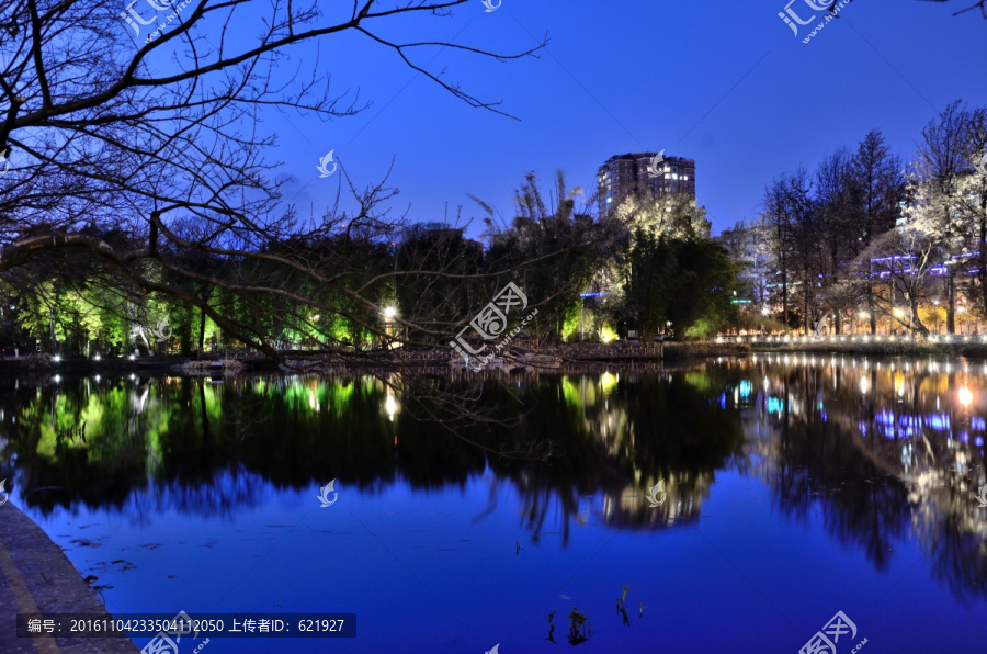 翠湖夜景