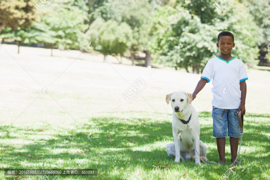 在公园里的小男孩拉布拉多犬