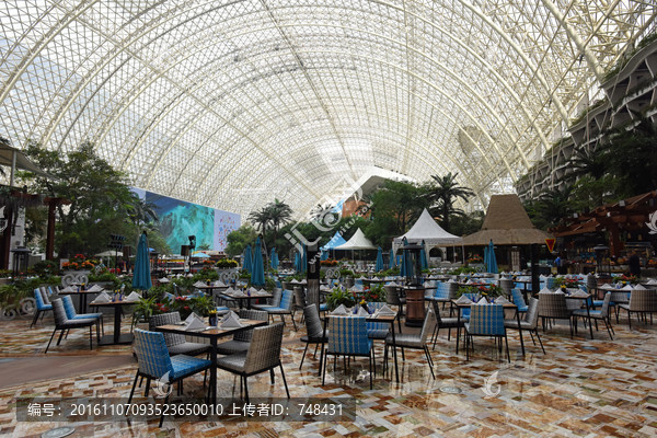 露天餐吧,户外自助餐厅