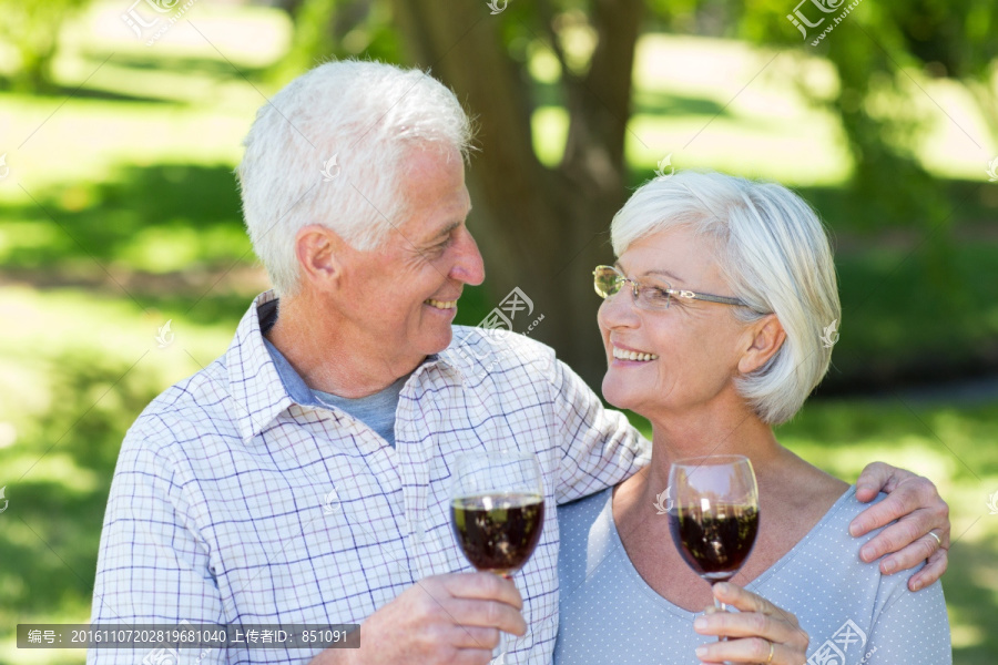 老夫妇在公园里喝红酒