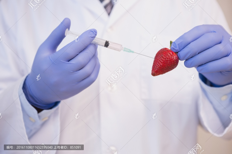 科学家为草莓做注射