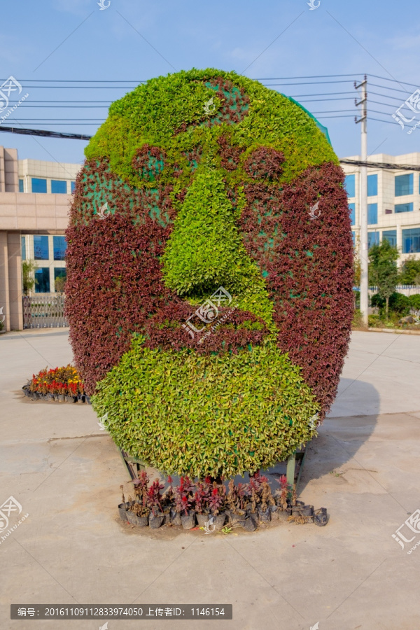 脸谱花