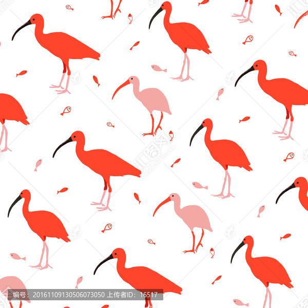 红鹮,珍稀鸟类图案