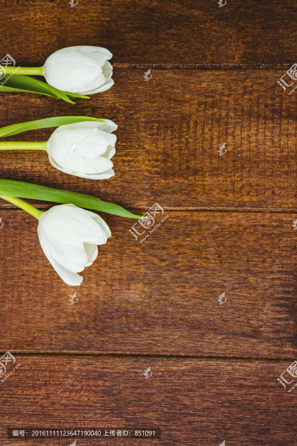 木板上的花朵