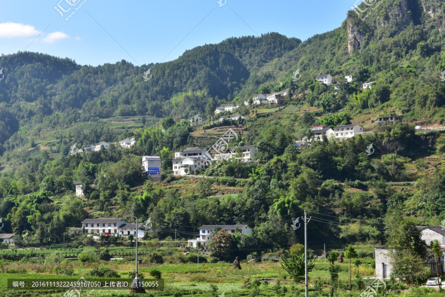 新农村田野田园风景