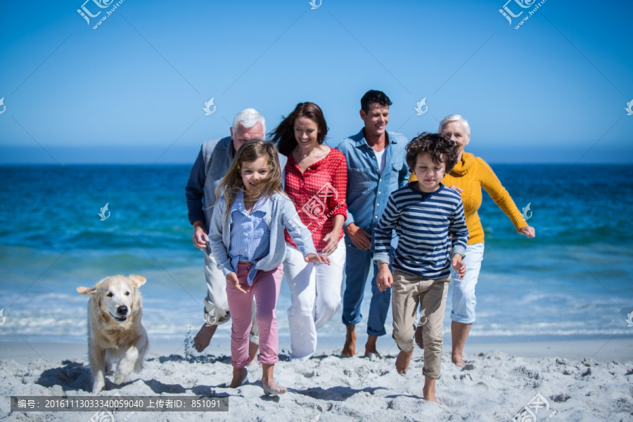 在沙滩上奔跑的狗狗和家人