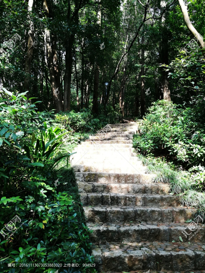 登山小道