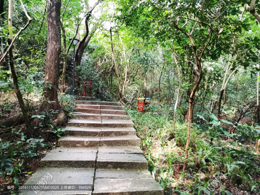 笔架山公园登山阶梯