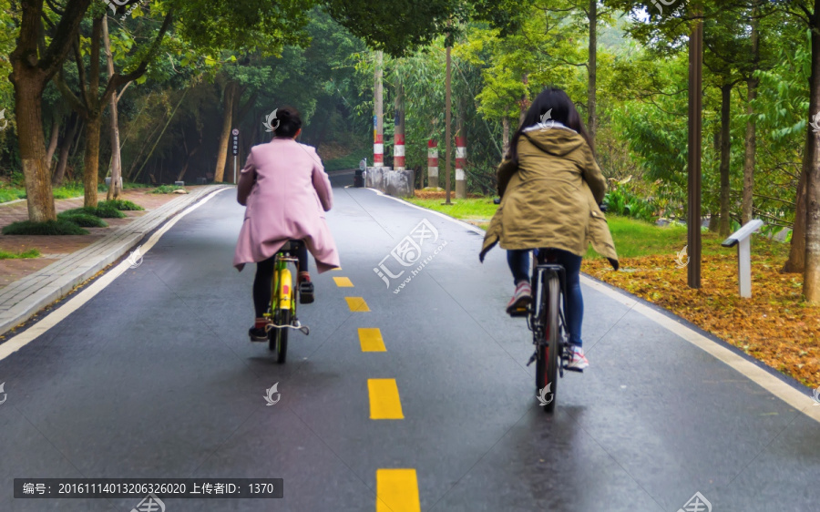 道路,骑自行车