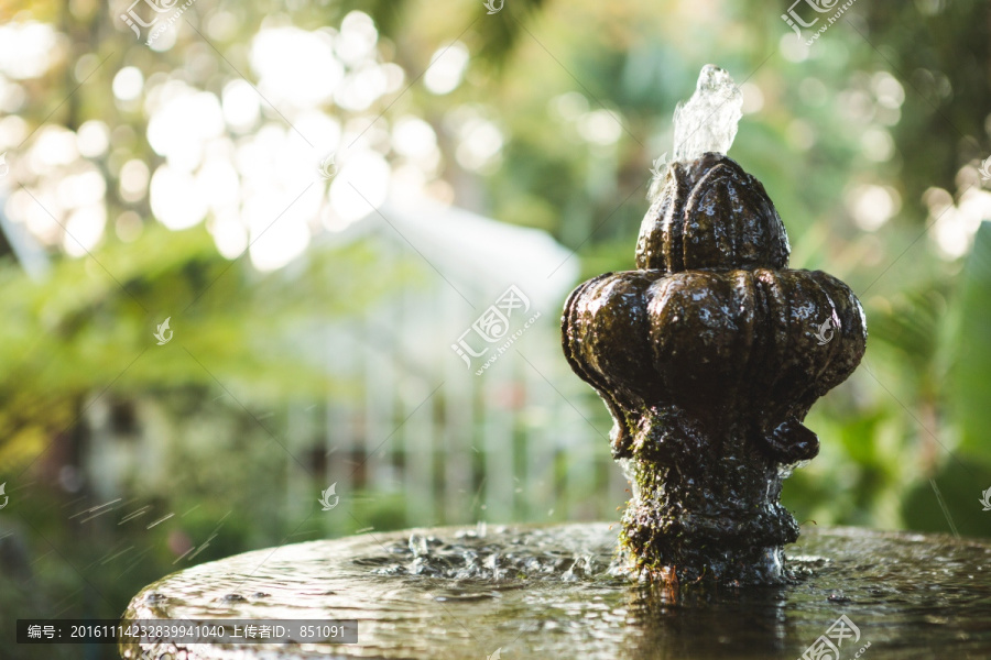 植物园喷泉溅水的特写