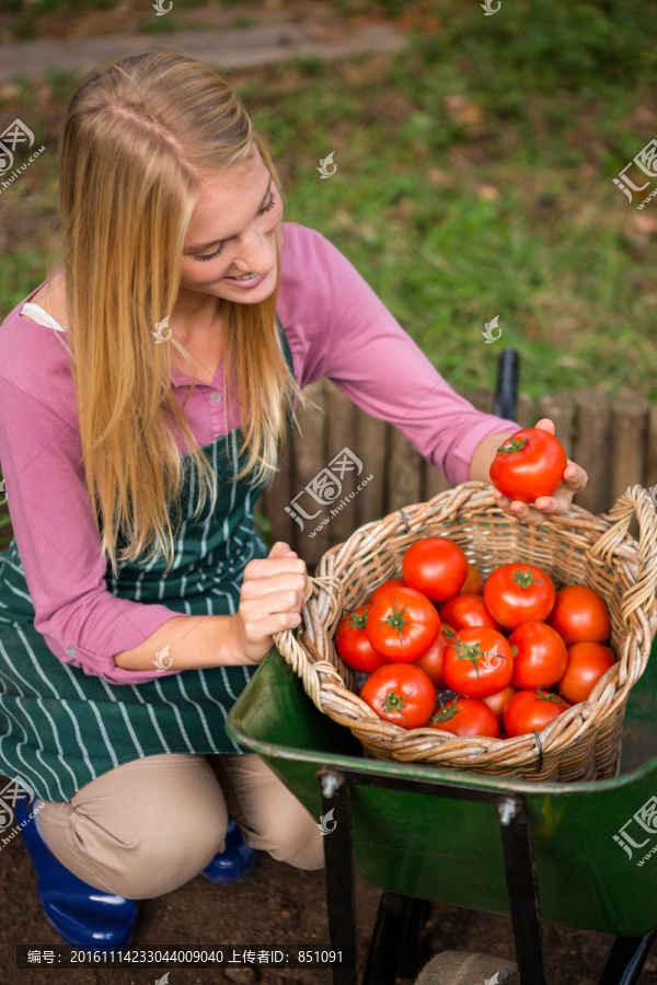 在看一个番茄的女人