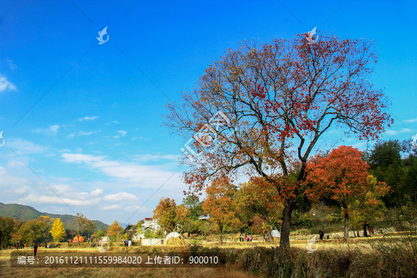 罗田风光