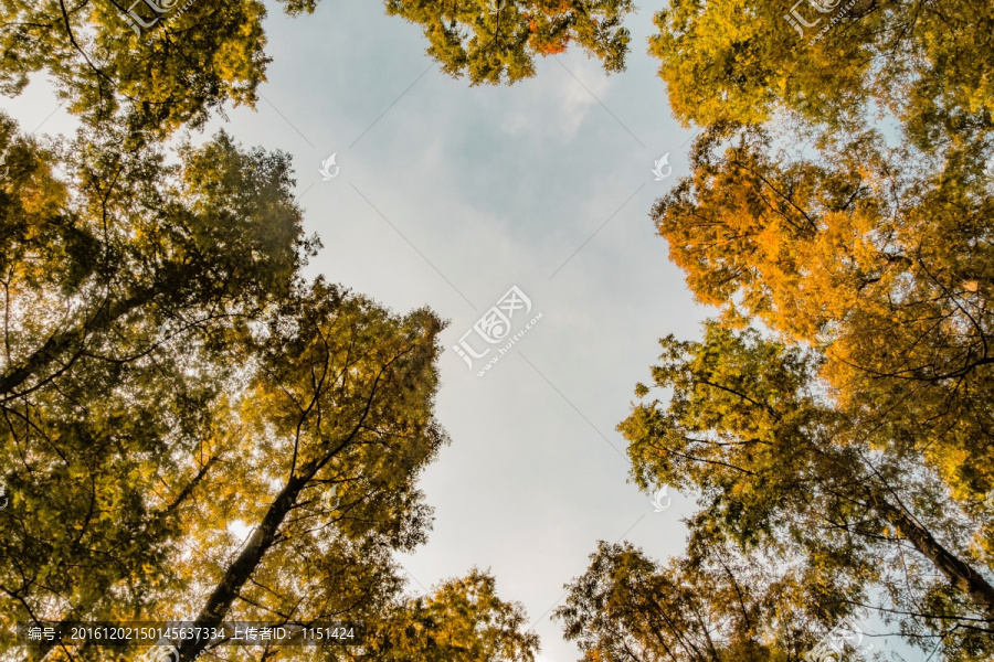 天空