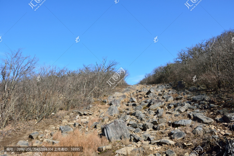 天目山自然保护区