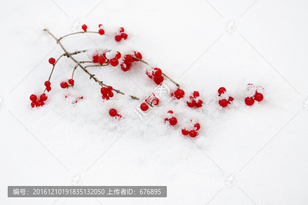 映雪