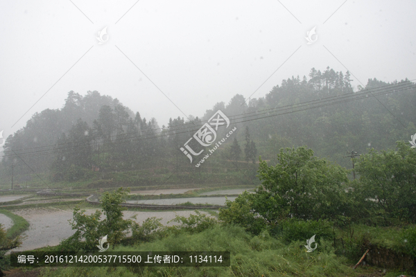 降雨素材