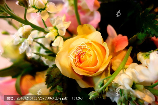 黄色玫瑰花,插花,鲜花