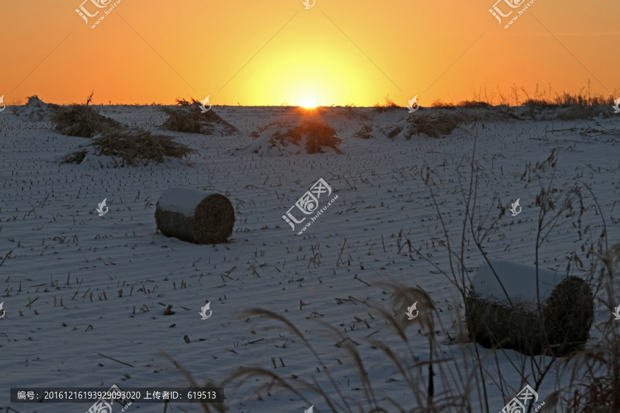 冬季雪后田野的日出