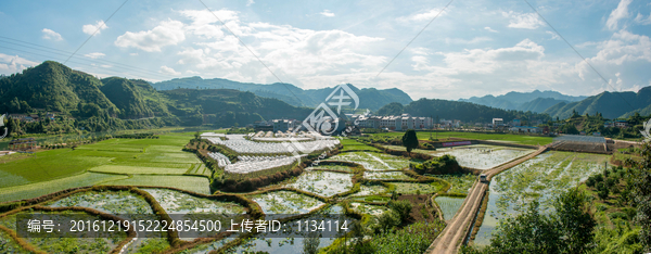 岑巩美丽周坪杂稻制种基地