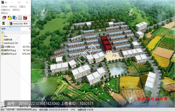 美丽乡村庄鸟瞰图