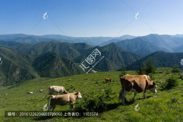 徒步五台山