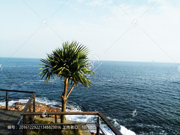大海